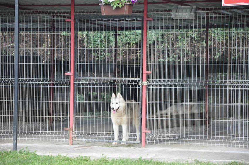 Dzieci z Szubina na Ranczo u Amadeusza