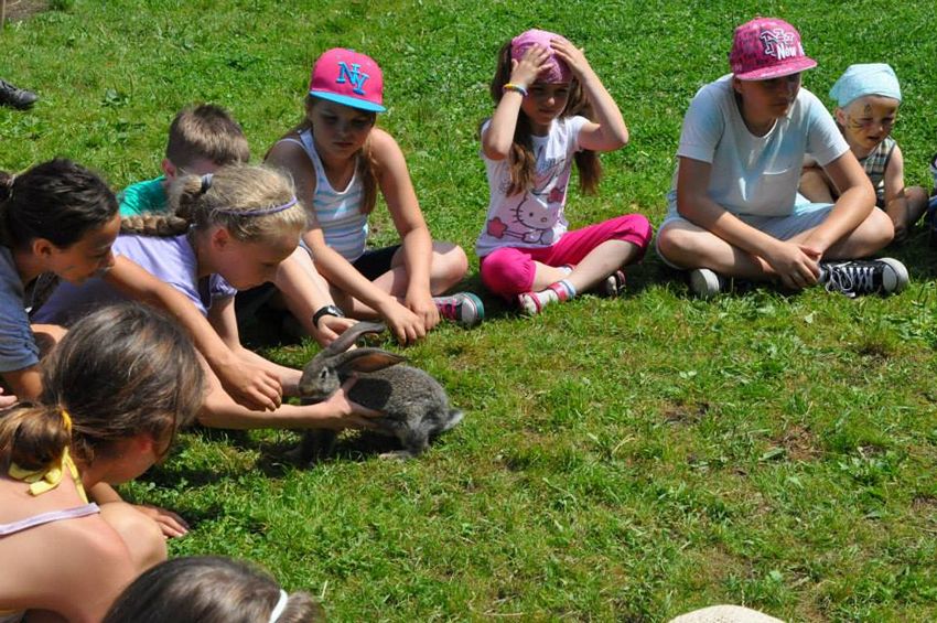 Dzieci z Szubina na Ranczo u Amadeusza