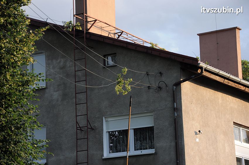 Wiatr wyrządza szkody