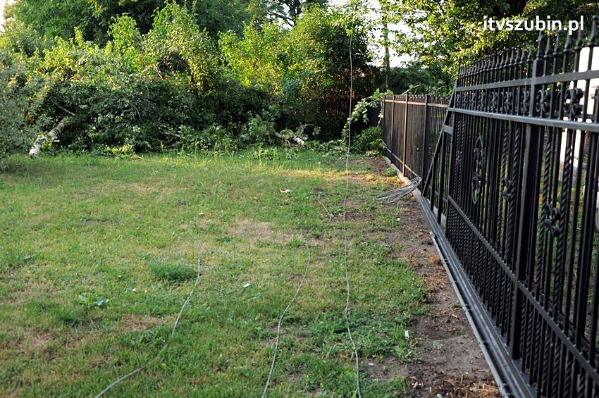 Wiatr wyrządza szkody