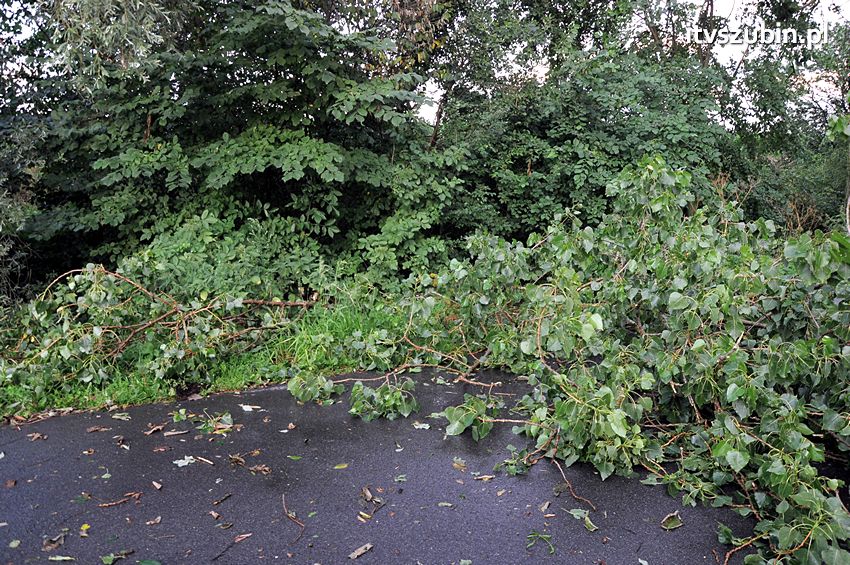 Wiatr wyrządza szkody