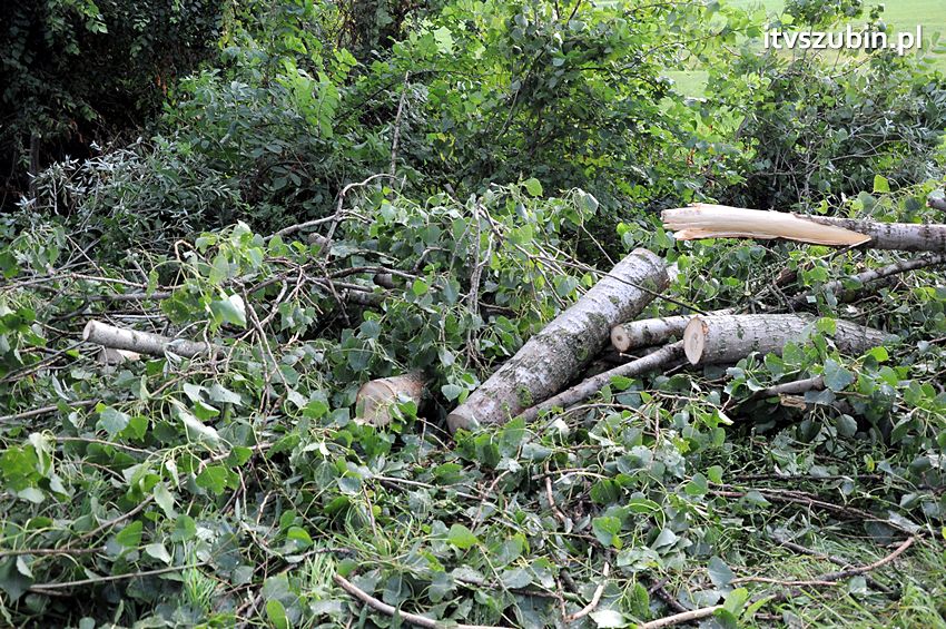 Wiatr wyrządza szkody