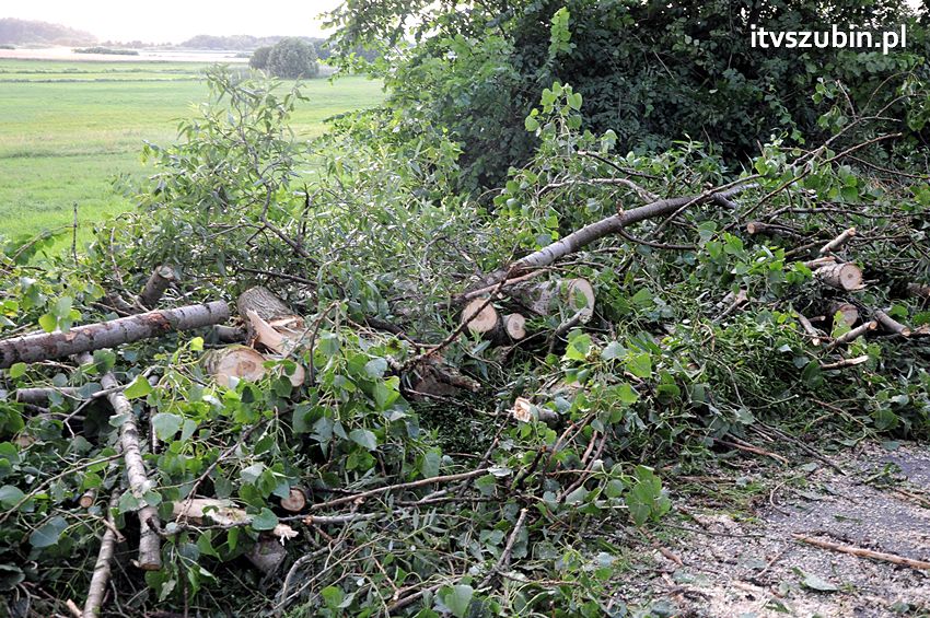 Wiatr wyrządza szkody