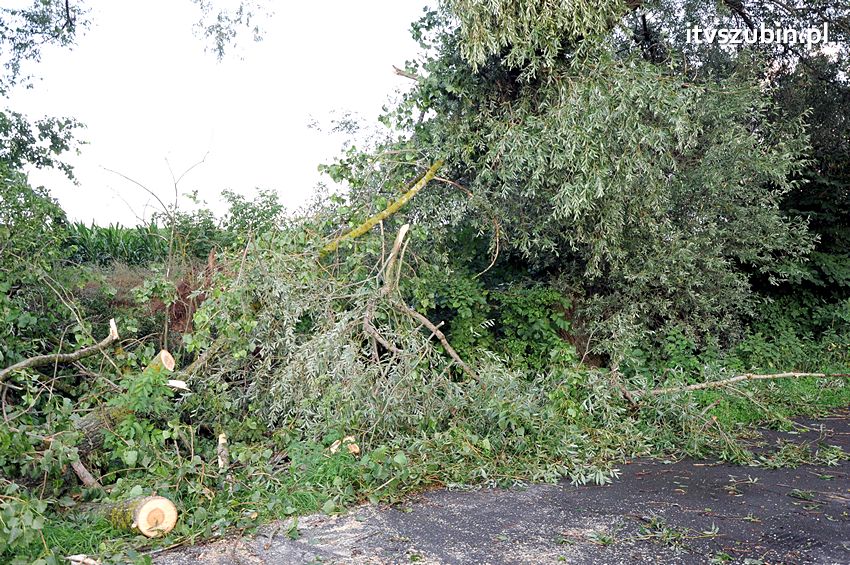 Wiatr wyrządza szkody