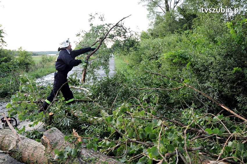 Wiatr wyrządza szkody