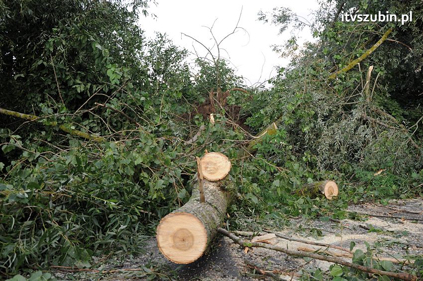 Wiatr wyrządza szkody