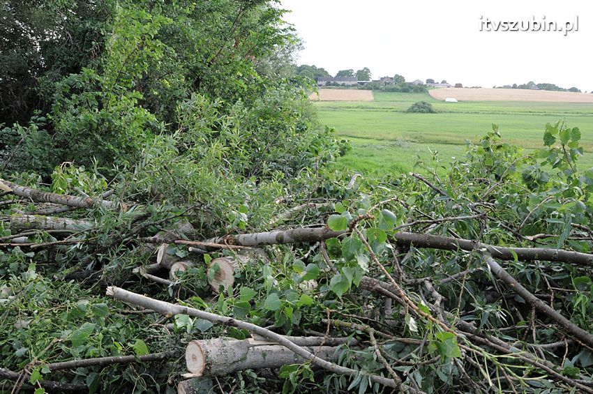 Wiatr wyrządza szkody