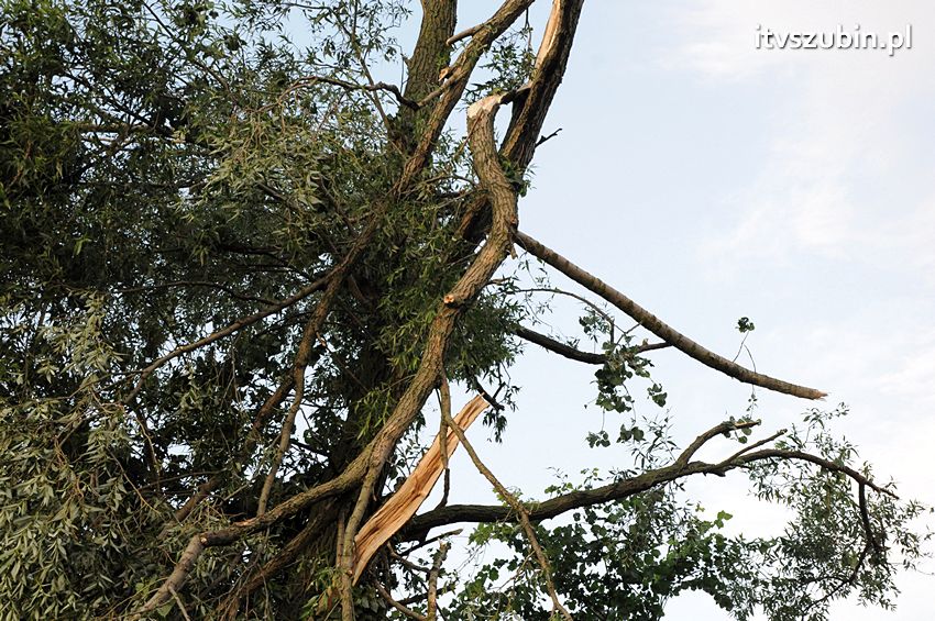 Wiatr wyrządza szkody