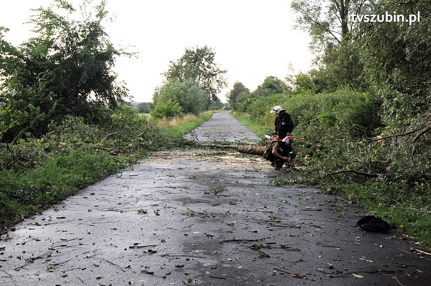 Wiatr wyrządza szkody