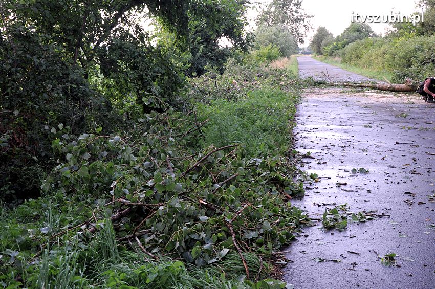 Wiatr wyrządza szkody