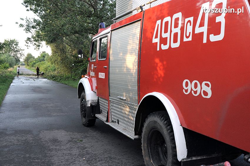 Wiatr wyrządza szkody