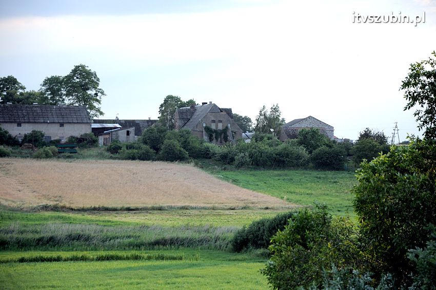 Wiatr wyrządza szkody