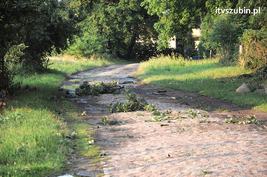 Wiatr wyrządza szkody