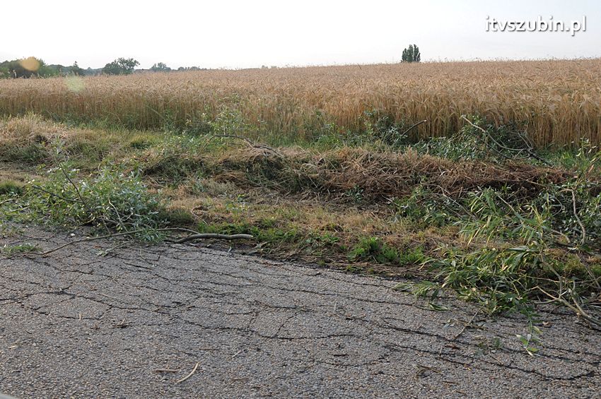Wiatr wyrządza szkody