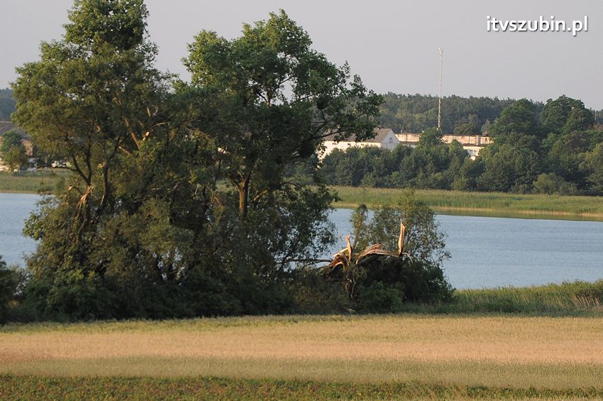 Wiatr wyrządza szkody