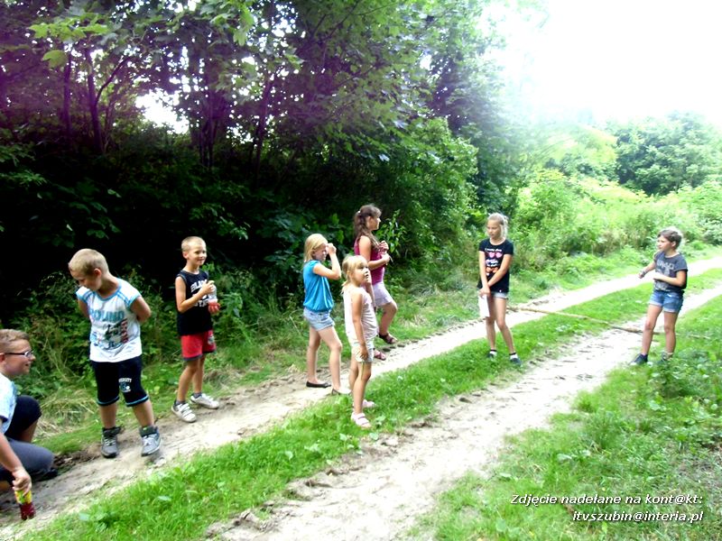 Zaczarowana biblioteka