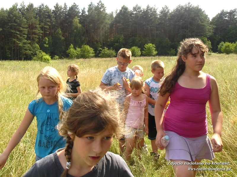 Zaczarowana biblioteka