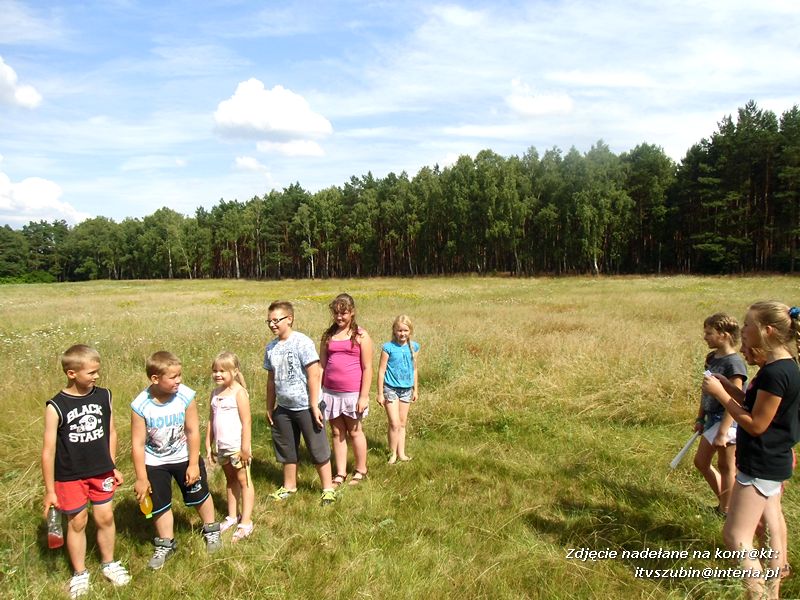 Zaczarowana biblioteka