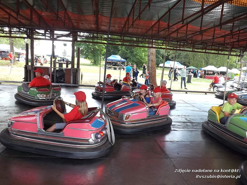 Zuchy na zlocie grunwaldzkim