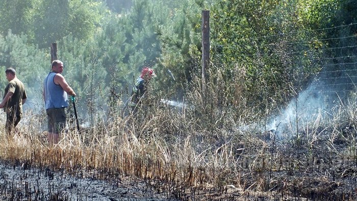 Pożar zboża na pniu i młodnika w Starym Jarużynie