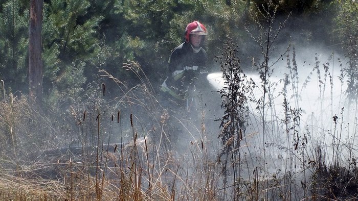 Pożar zboża na pniu i młodnika w Starym Jarużynie