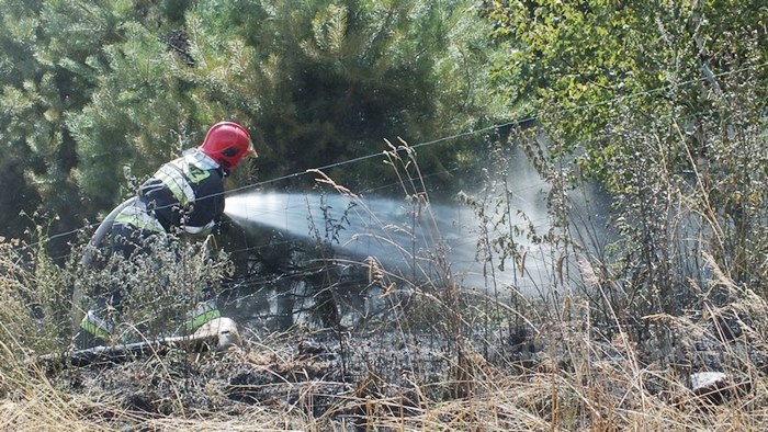 Pożar zboża na pniu i młodnika w Starym Jarużynie