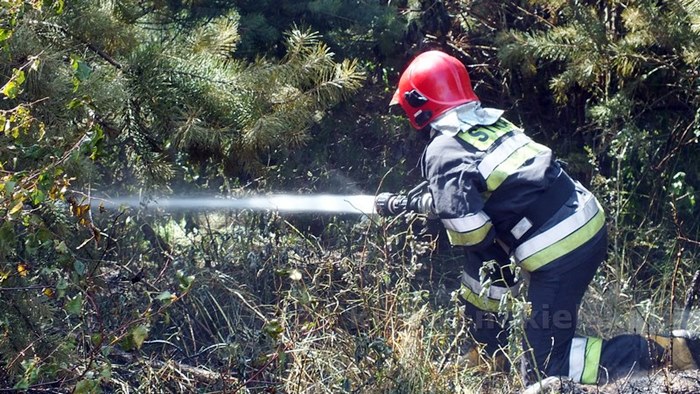 Pożar zboża na pniu i młodnika w Starym Jarużynie