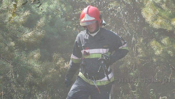 Pożar zboża na pniu i młodnika w Starym Jarużynie