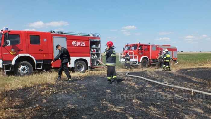 Pożar zboża na pniu i młodnika w Starym Jarużynie