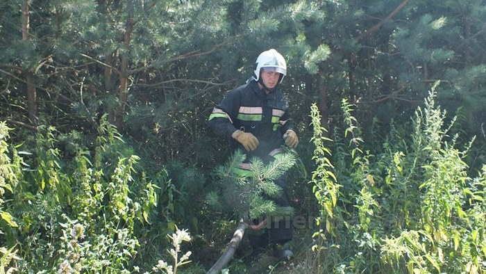 Pożar zboża na pniu i młodnika w Starym Jarużynie