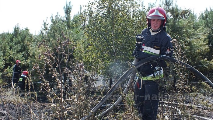 Pożar zboża na pniu i młodnika w Starym Jarużynie