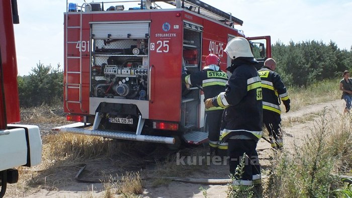 Pożar zboża na pniu i młodnika w Starym Jarużynie