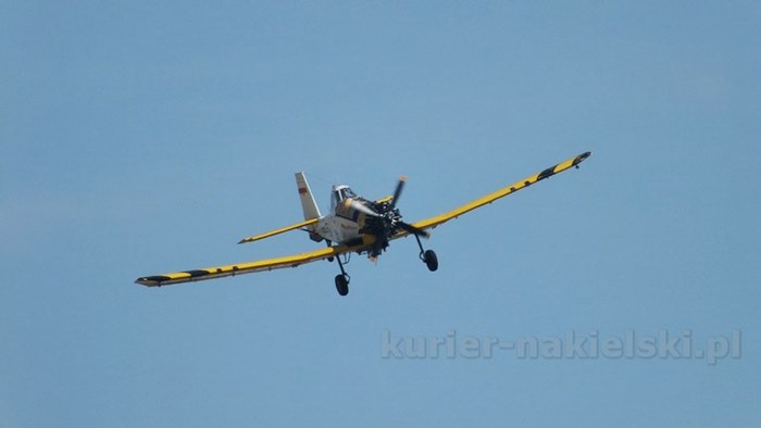 Pożar zboża na pniu i młodnika w Starym Jarużynie
