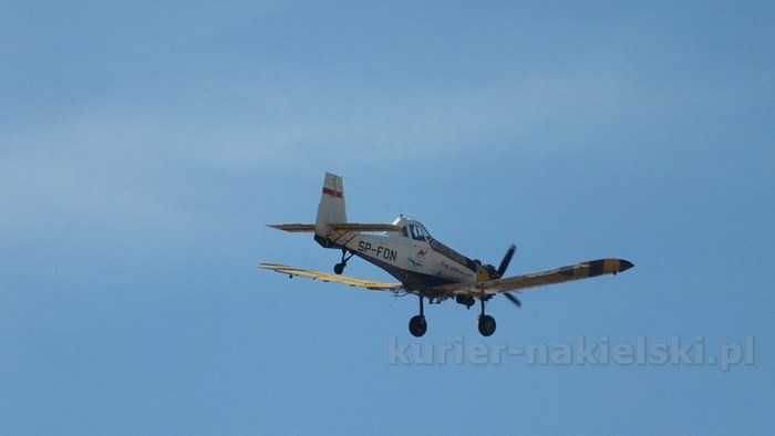 Pożar zboża na pniu i młodnika w Starym Jarużynie