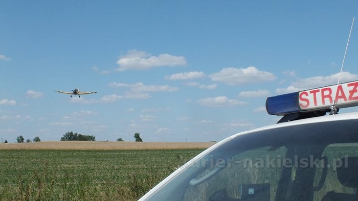 Pożar zboża na pniu i młodnika w Starym Jarużynie