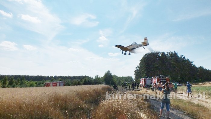 Pożar zboża na pniu i młodnika w Starym Jarużynie