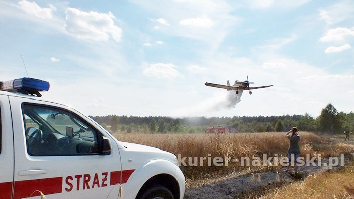 Pożar zboża na pniu i młodnika w Starym Jarużynie
