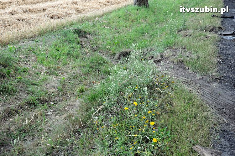 Kolizja osobówki z Tirem w Łachowie