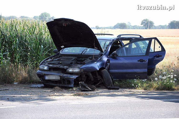 Cudem uniknęli zderzenia z przydrożnym drzewem