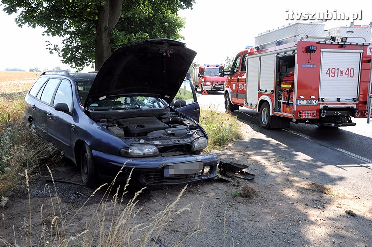 Cudem uniknęli zderzenia z przydrożnym drzewem