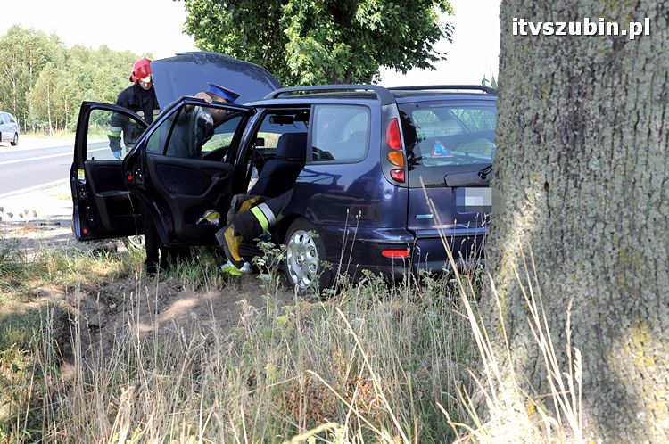 Cudem uniknęli zderzenia z przydrożnym drzewem