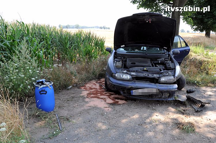 Cudem uniknęli zderzenia z przydrożnym drzewem