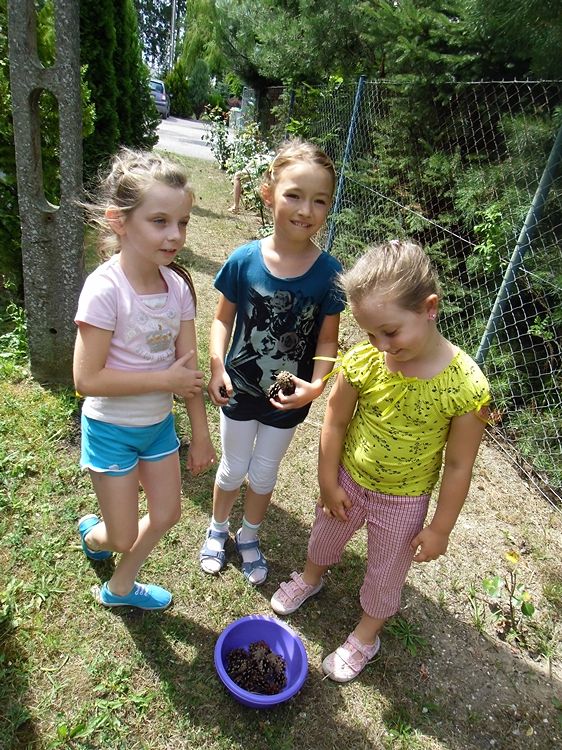 Zaczarowana biblioteka w Chomętowie