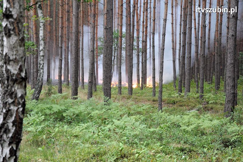 Pracowita niedziela dla strażaków