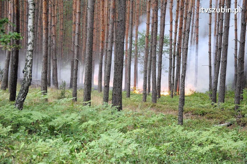 Pracowita niedziela dla strażaków