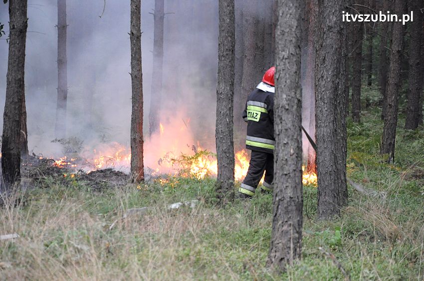 Pracowita niedziela dla strażaków