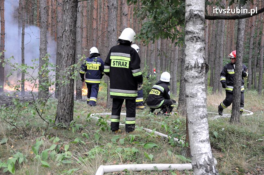 Pracowita niedziela dla strażaków
