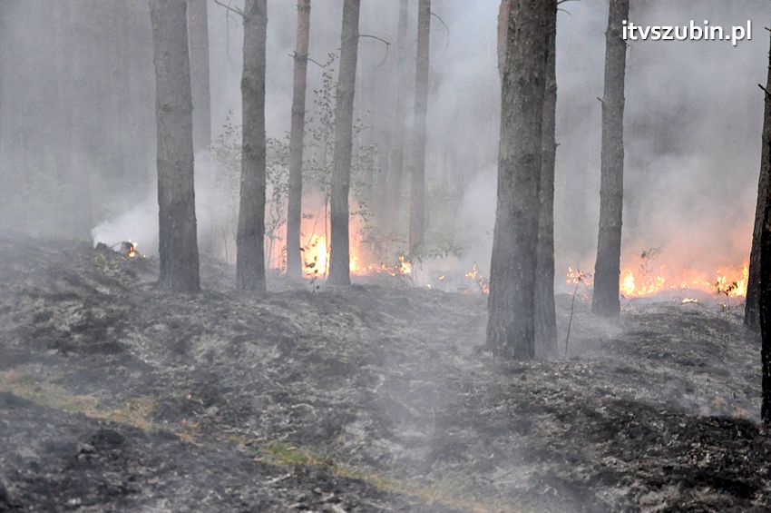 Pracowita niedziela dla strażaków