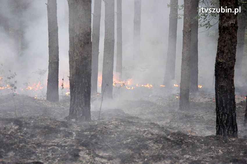 Pracowita niedziela dla strażaków