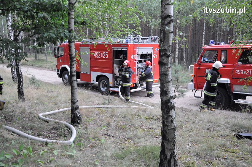 Pracowita niedziela dla strażaków